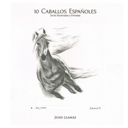 COLECCIÓN 10 LAMINAS DE JUAN LLAMAS