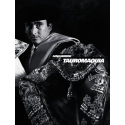 Tauromaquia: The Art of Bullfighting