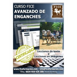 Curso FICE Teórico Avanzado de Enganches (A distancia)