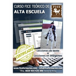 Curso FICE Teórico de Alta Escuela (A distancia)