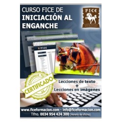 Material Didáctico. Curso FICE de Enganchar y Guiar