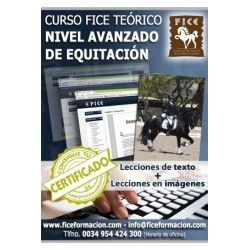 Curso FICE Teórico Nivel Avanzado (A distancia)