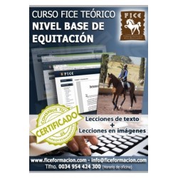 Curso FICE Teórico Nivel Base (A distancia)