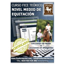 Curso FICE Teórico Nivel Medio (A distancia)