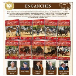ENGANCHES, LA DOMA, TIPOS DE COCHE Y COMPETICIÓN 10 DVD´S + LIBRO HISTORIA DEL COCHE