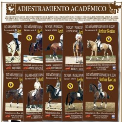 INICIACIÓN Y PERFECCIONAMIENTO DE DOMA CON ARTHUR KOTTAS