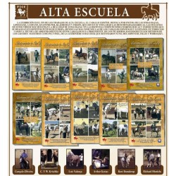 ADIESTRAMIENTO CLÁSICO DE ALTA ESCUELA