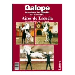 Guía Práctica VI 2