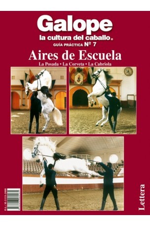 PACK 2 GUÍAS AIRES DE ESCUELA