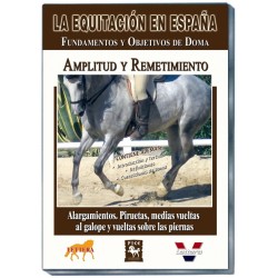 EE. Amplitud y Remetimiento