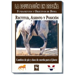 EE. Rectitud, Asiento y Posición