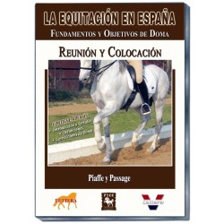 EE. Reunión y Colocación