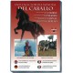 Dvd Enciclopedia Mundial del Caballo 01