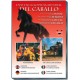Dvd Enciclopedia Mundial del Caballo 03