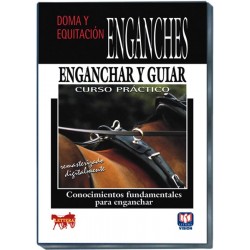 Conocimientos Fundamentales para Enganchar 