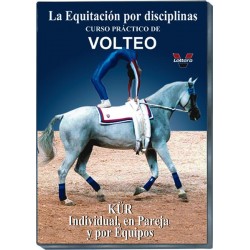 Curso Práctico de Volteo II