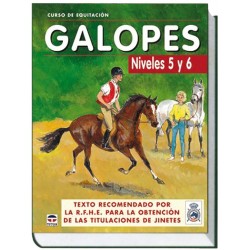 CURSO DE EQUITACIÓN. GALOPES NIVELES 5 Y 6