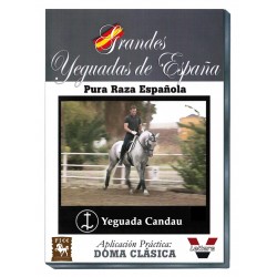 Grandes Yeguadas de España. Candau