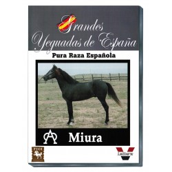Grandes Yeguadas de España. Miura