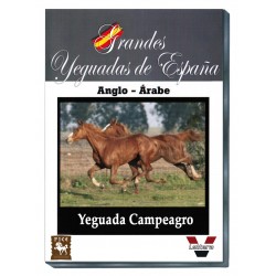 Grandes Yeguadas de España. Campeagro