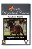 Grandes Yeguadas de España. Pedro Beca