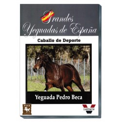 Grandes Yeguadas de España. Pedro Beca