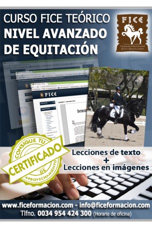 Curso FICE Teórico Nivel Avanzado (Online)