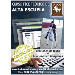 Curso FICE Teórico de Alta Escuela (Online)