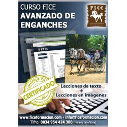 Curso FICE Teórico Avanzado de Enganches (Online)