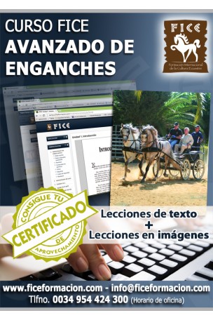 Material Docente. Curso FICE de Enganches