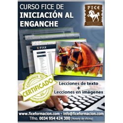 Curso FICE de Iniciación al Enganche (Online)