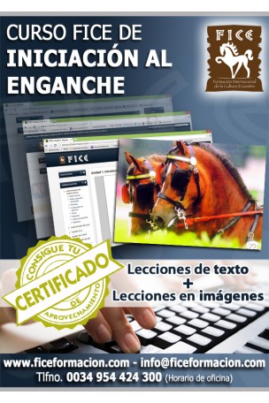 Curso FICE de Iniciación al Enganche (Online)