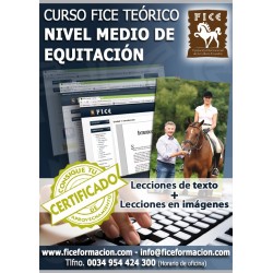 Curso FICE Teórico Nivel Medio (Online)