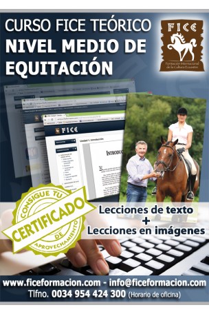 Curso FICE Teórico Nivel Medio (Online)