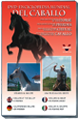 Horses and Pure Spanish Bred