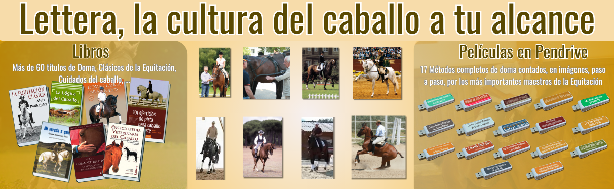 Lettera, la cultura del caballo a tu alcance
