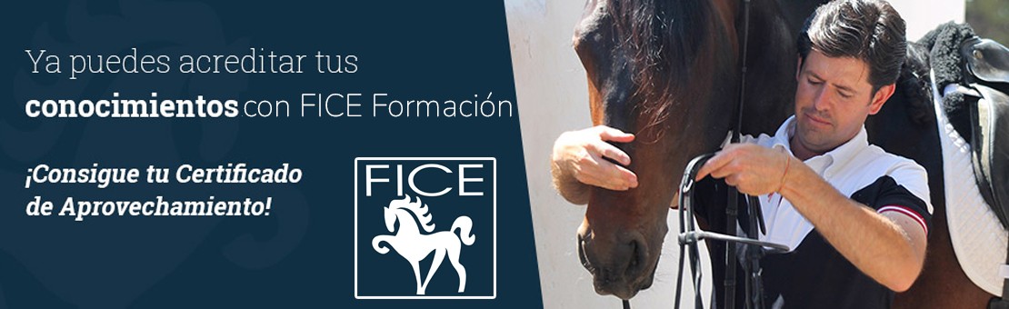 FICE Formaci&oacute;n